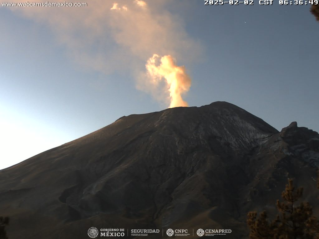 Popocatépetl registra 38 exhalaciones y 91 minutos de tremor 