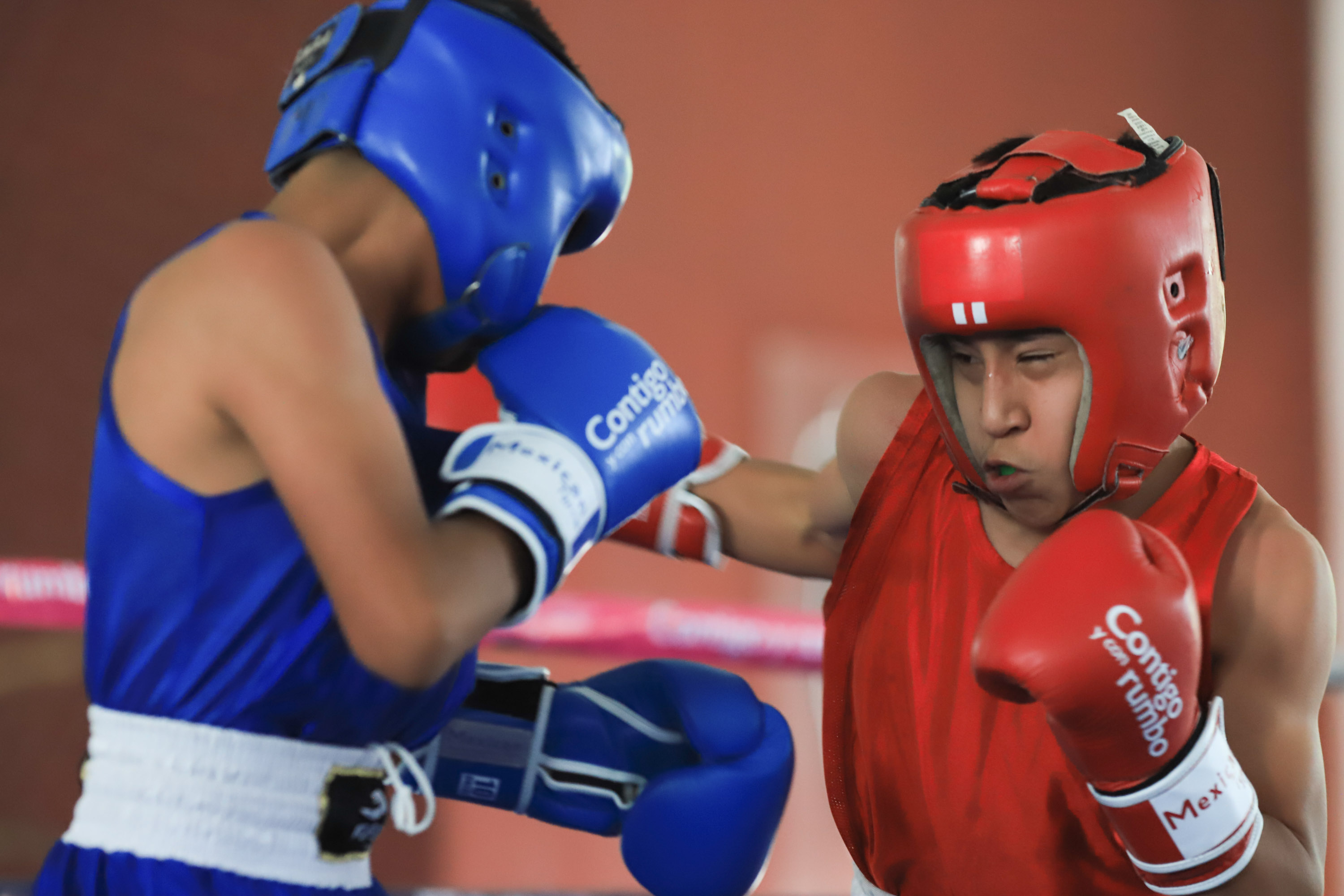 VIDEO Se pone en marcha Torneo de los Barrios de Box