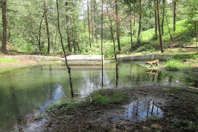 En Huauchinango Sequía redujo 50 % abasto de agua a población