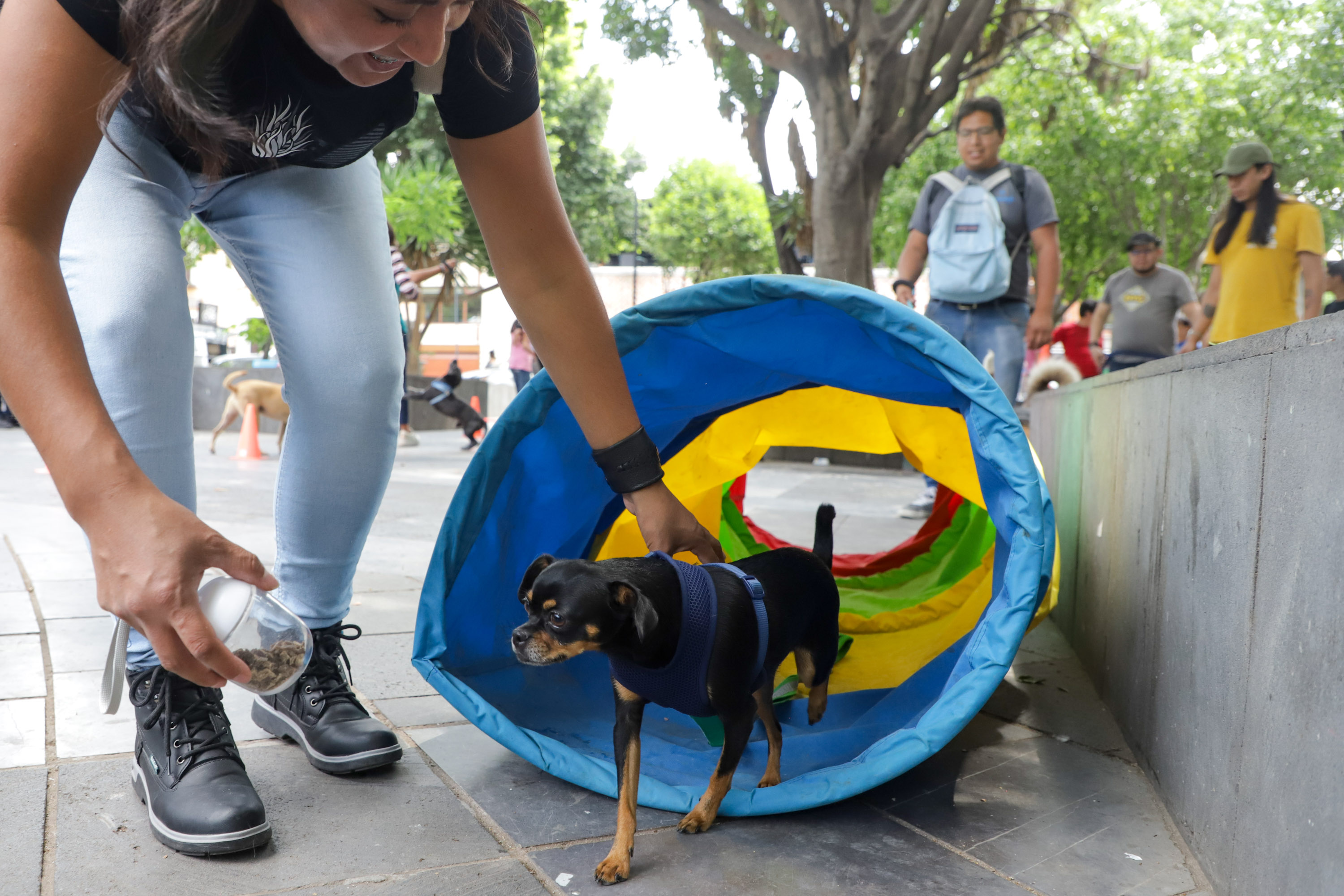 Conoce mejor a tu perro, para una mejor convivencia