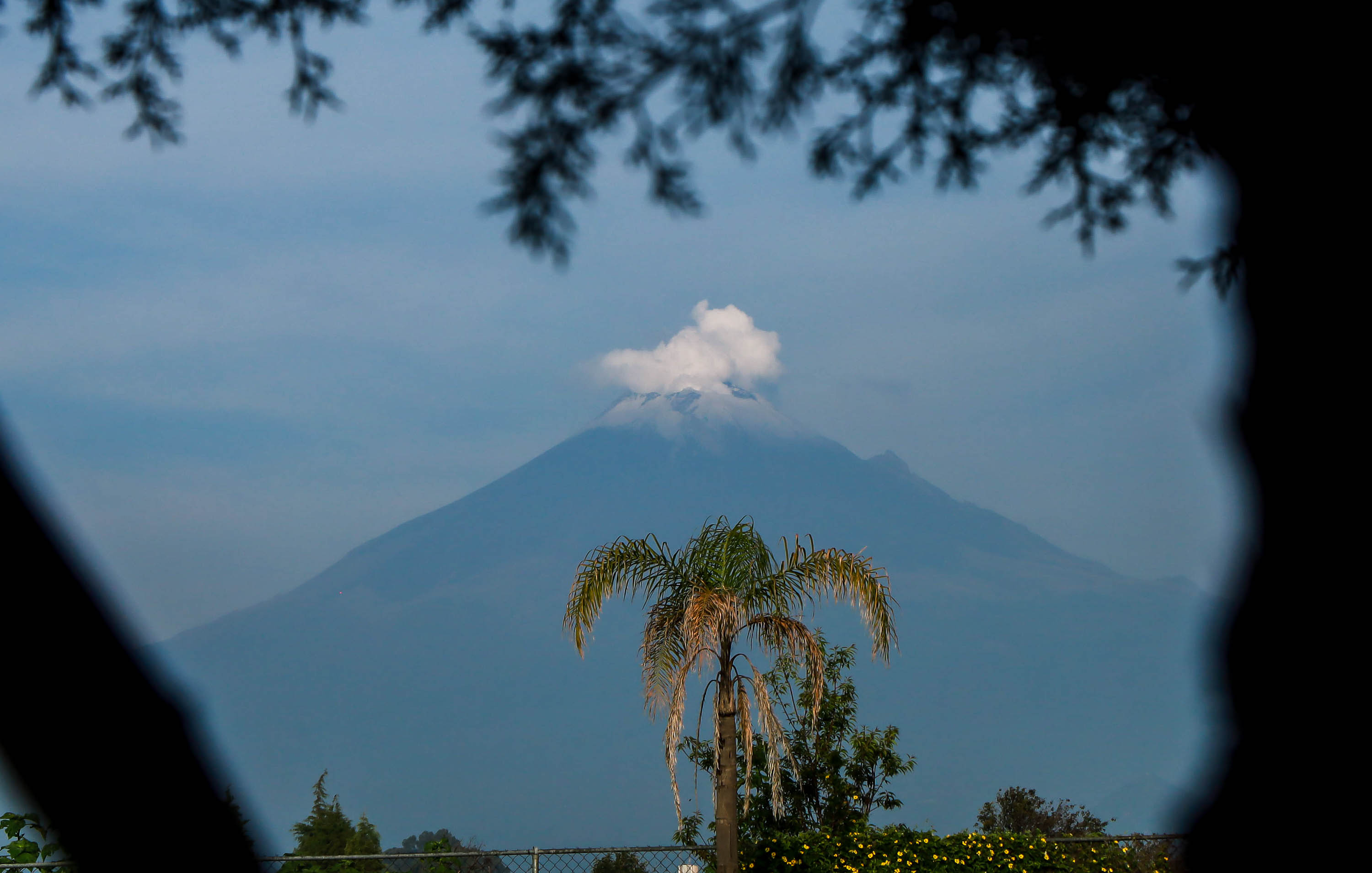 VIDEO Volcán Popocatépetl ha registrado 90 exhalaciones de baja intensidad