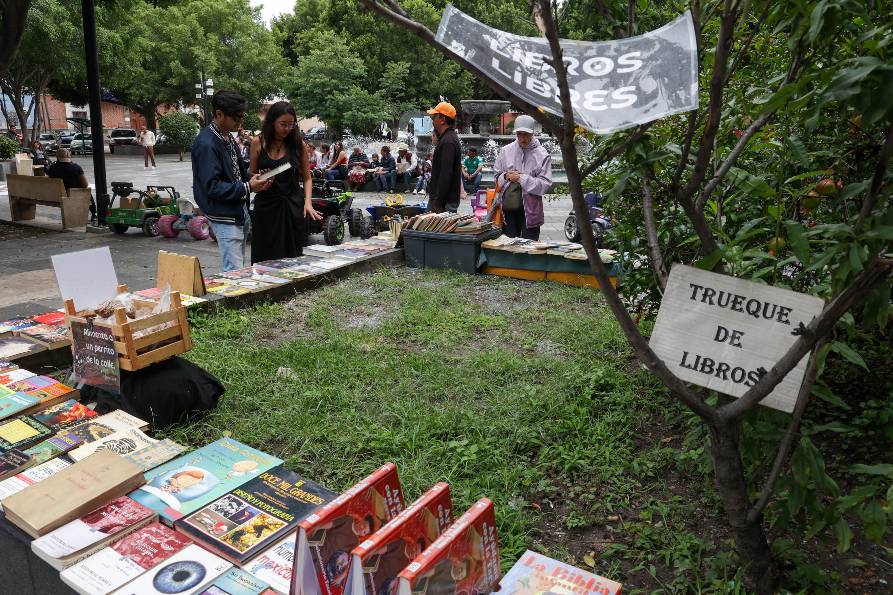 Llevan a cabo truque de libros en Parque del Carmen