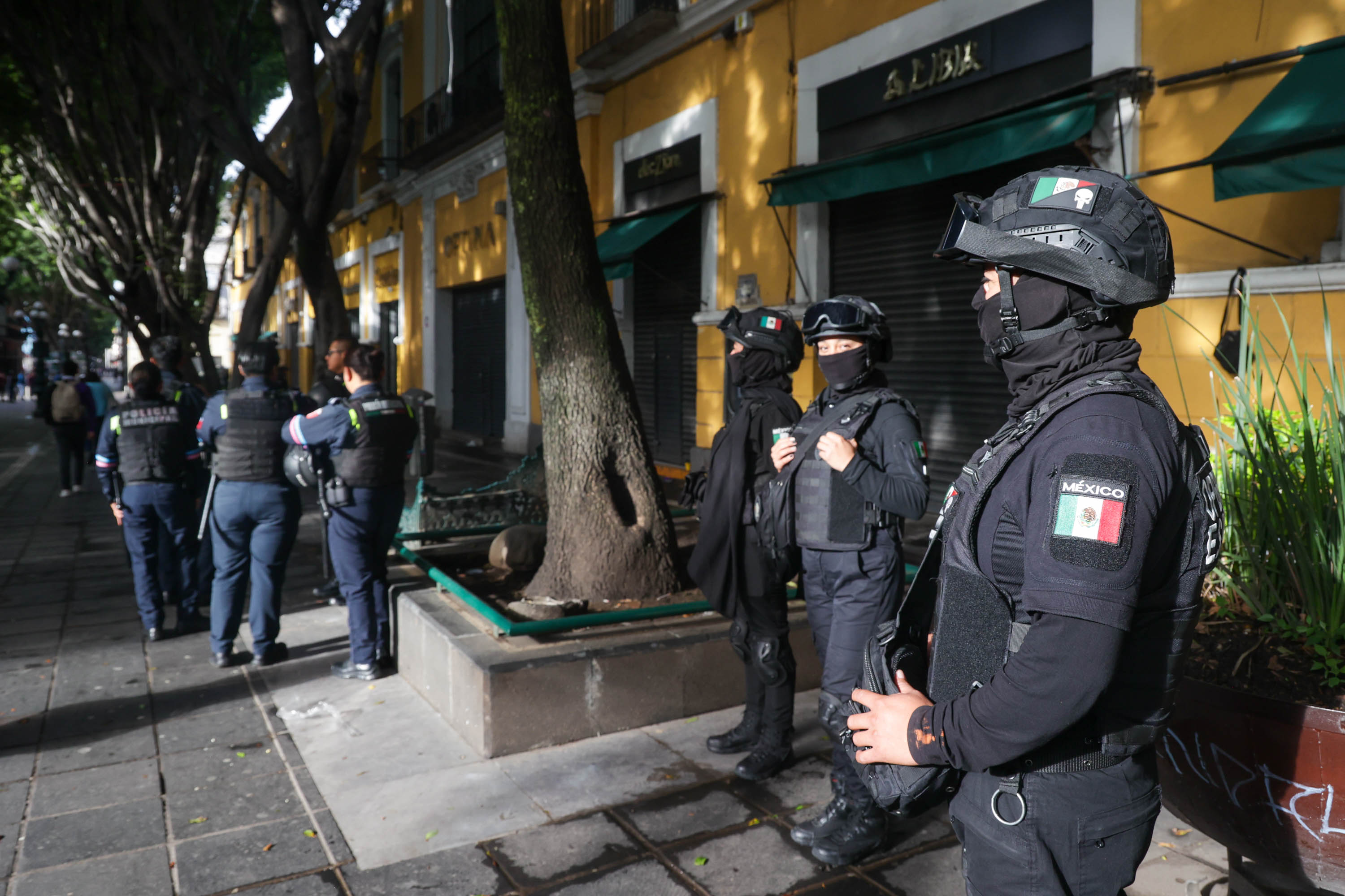 VIDEO Mantienen operativo para evitar instalación de ambulantes