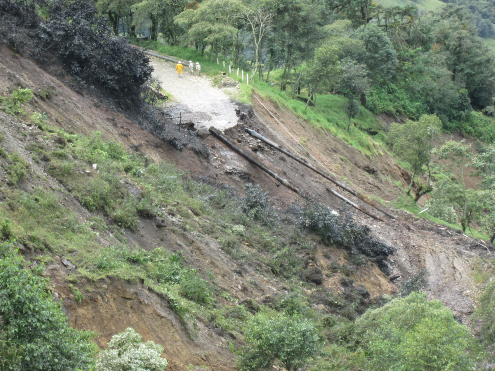 Con túnel falso y drenaje, ICA corregirá fallas en la autopista México-Tuxpan