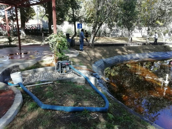 Gobierno municipal da mantenimiento a Parque Juárez