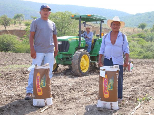 Gobierno de Puebla detonará producción de agave mezcalero