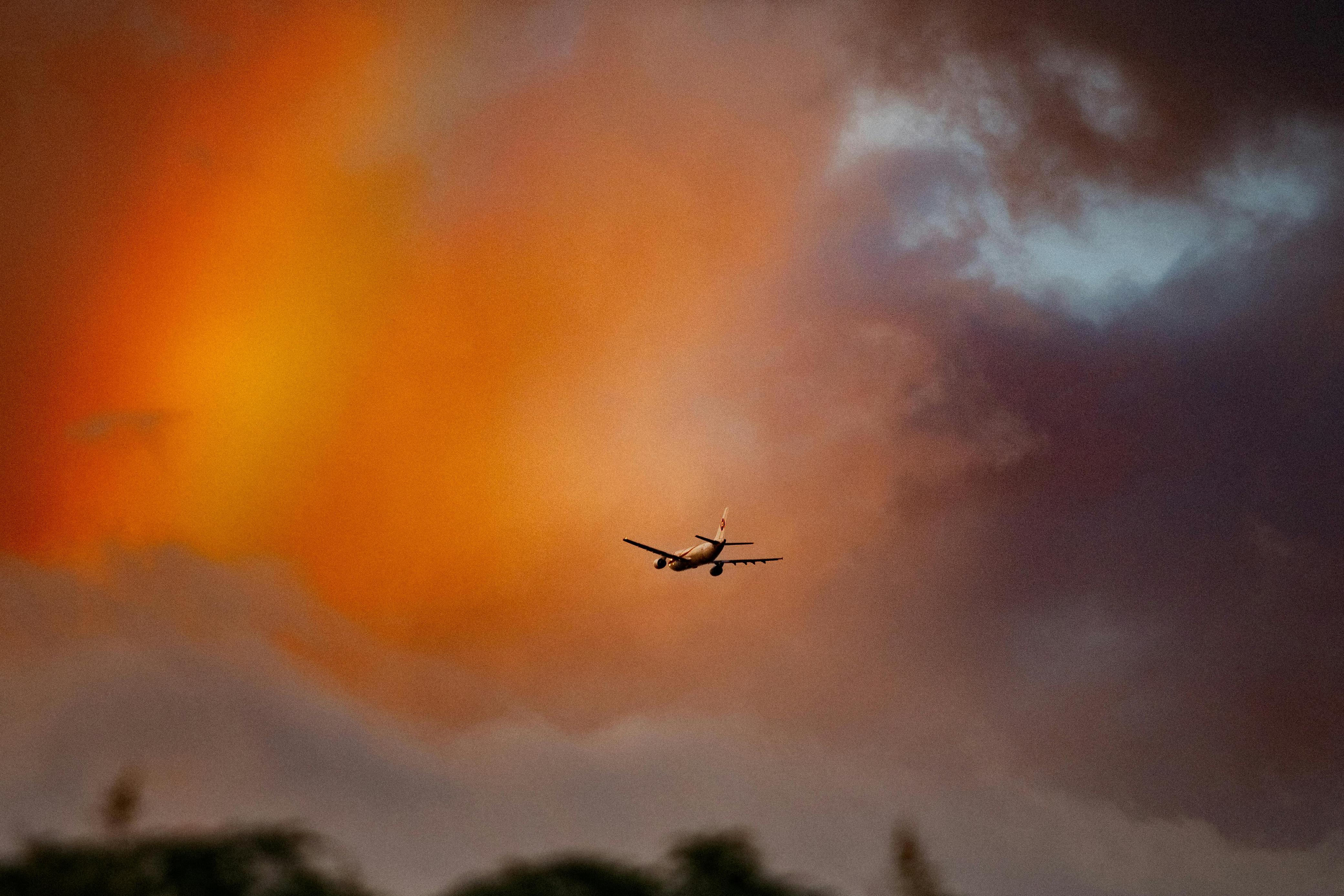 Ingresan a México más de seis millones 121 mil turistas extranjeros vía aérea