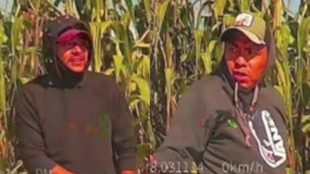 Captan rostro de hampones que intentaron robar a hombre sobre la Puebla-Orizaba 