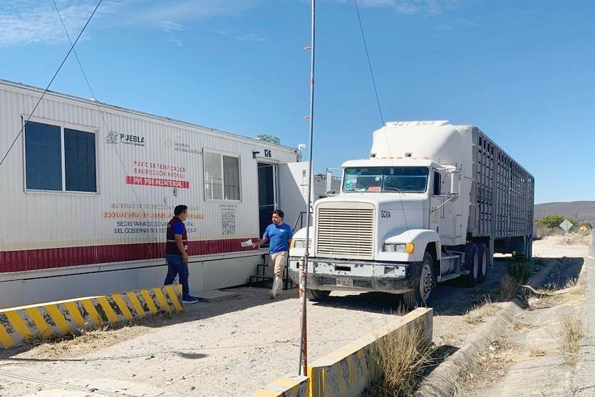 Intensifica SDR inspección y verificación de animales para evitar plagas en Puebla