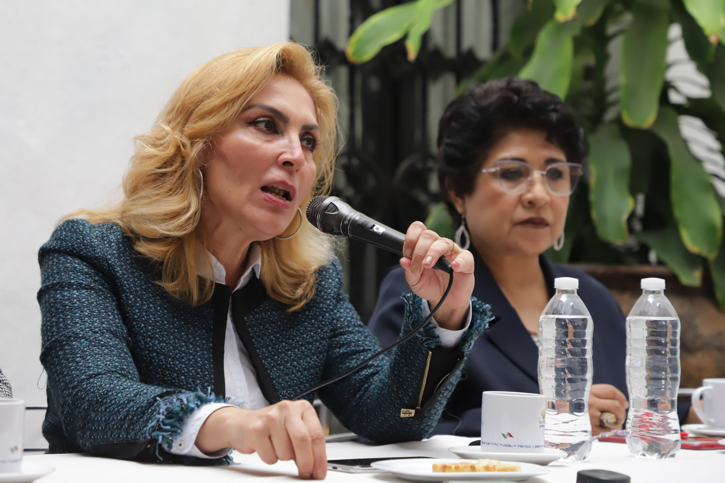 Autoridades judiciales estarían protegiendo a Eduardo Alcántara, afirma Erika de la Vega
