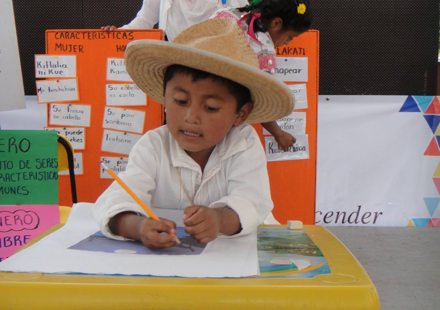 Repartirán diccionario en Tepehua en primarias de Pantepec
