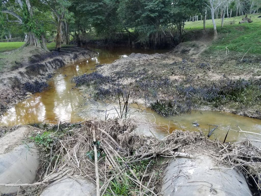 Exigen a Pemex limpiar contaminación en Francisco Z. Mena