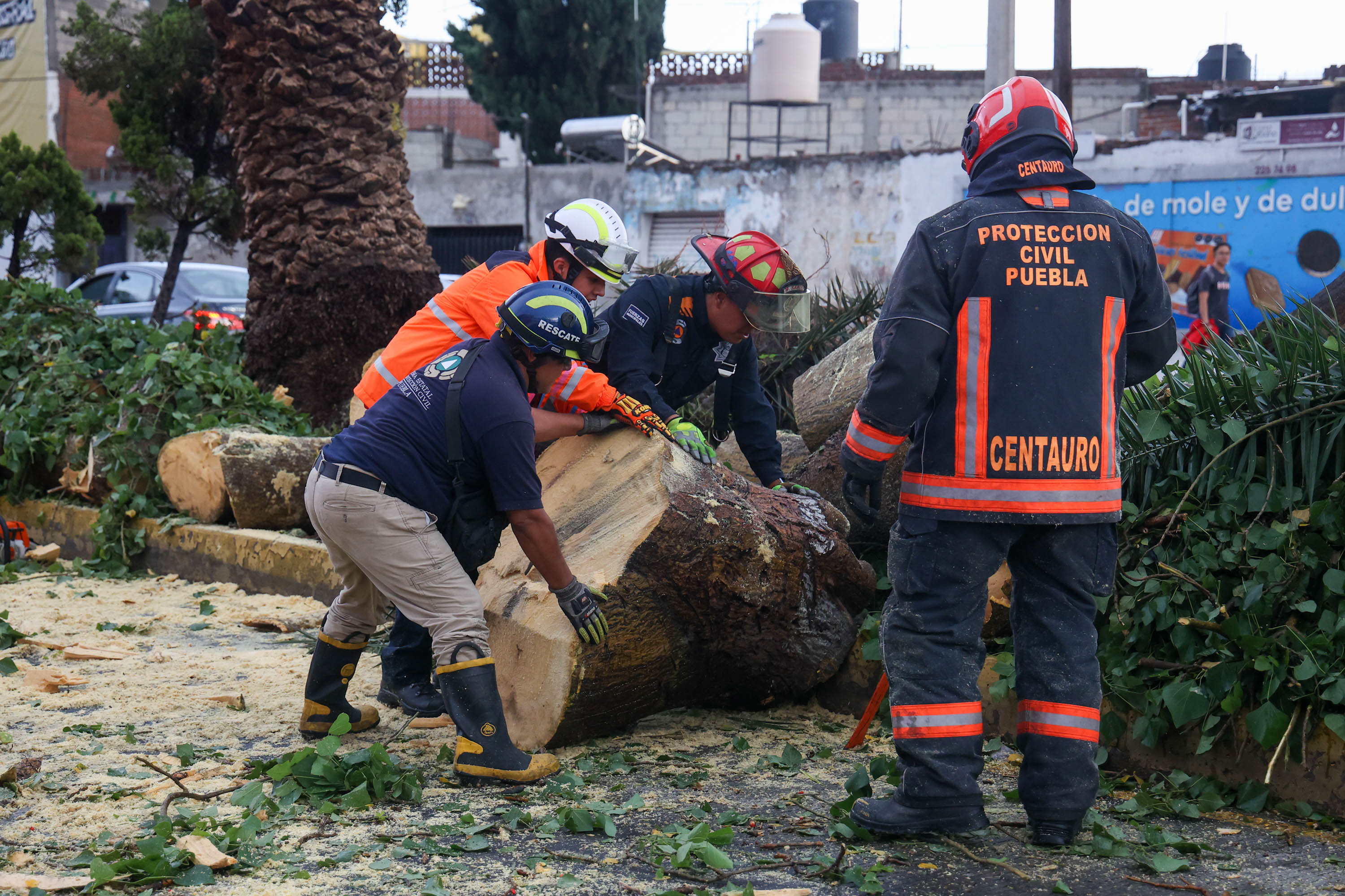 Sin lesionados, tras caída de 17 árboles en Centro Escolar Morelos: PC