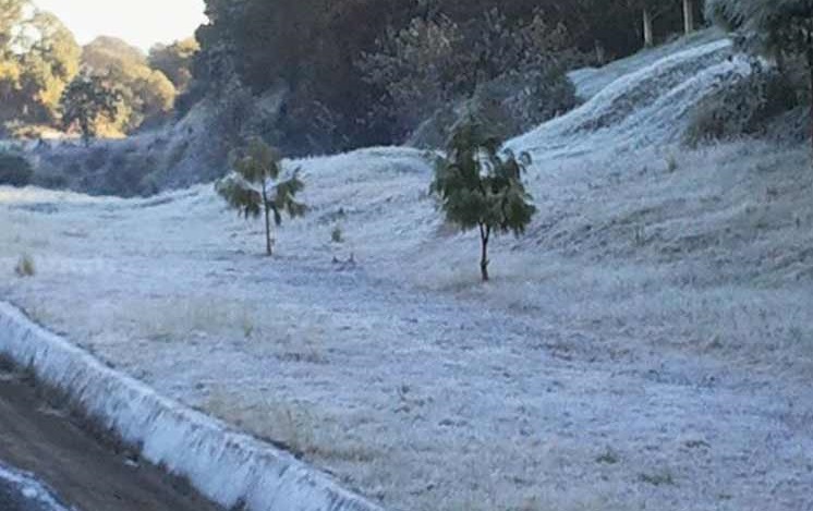SMN pronostica caída de nieve en el estado