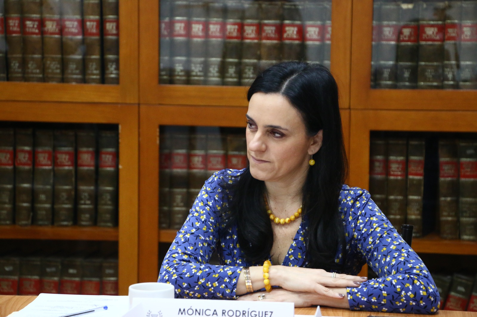 Comisión de la Familia presenta Informe Anual de Trabajo
