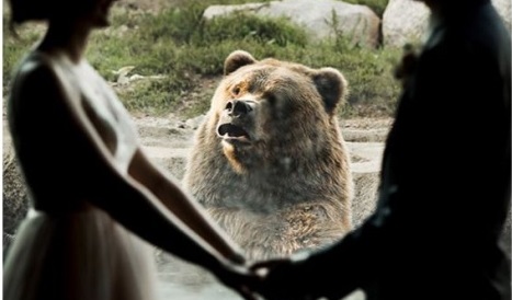 Se casan en un zoológico y un oso se roba el espectáculo