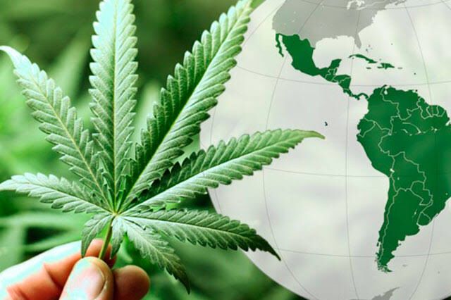 Inconstitucional penalizar la posesión de marihuana para uso personal: SCJN