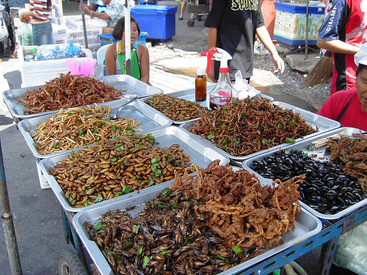 En Qatar prohíben comer alimentos con insectos