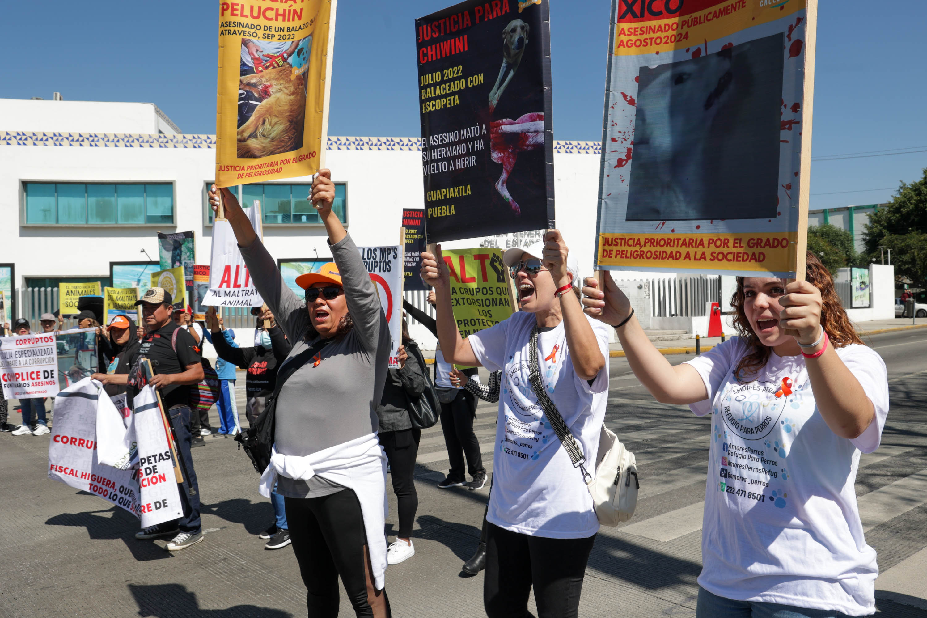 VIDEO Colectivos Animalistas cierran el bulevar 5 de Mayo