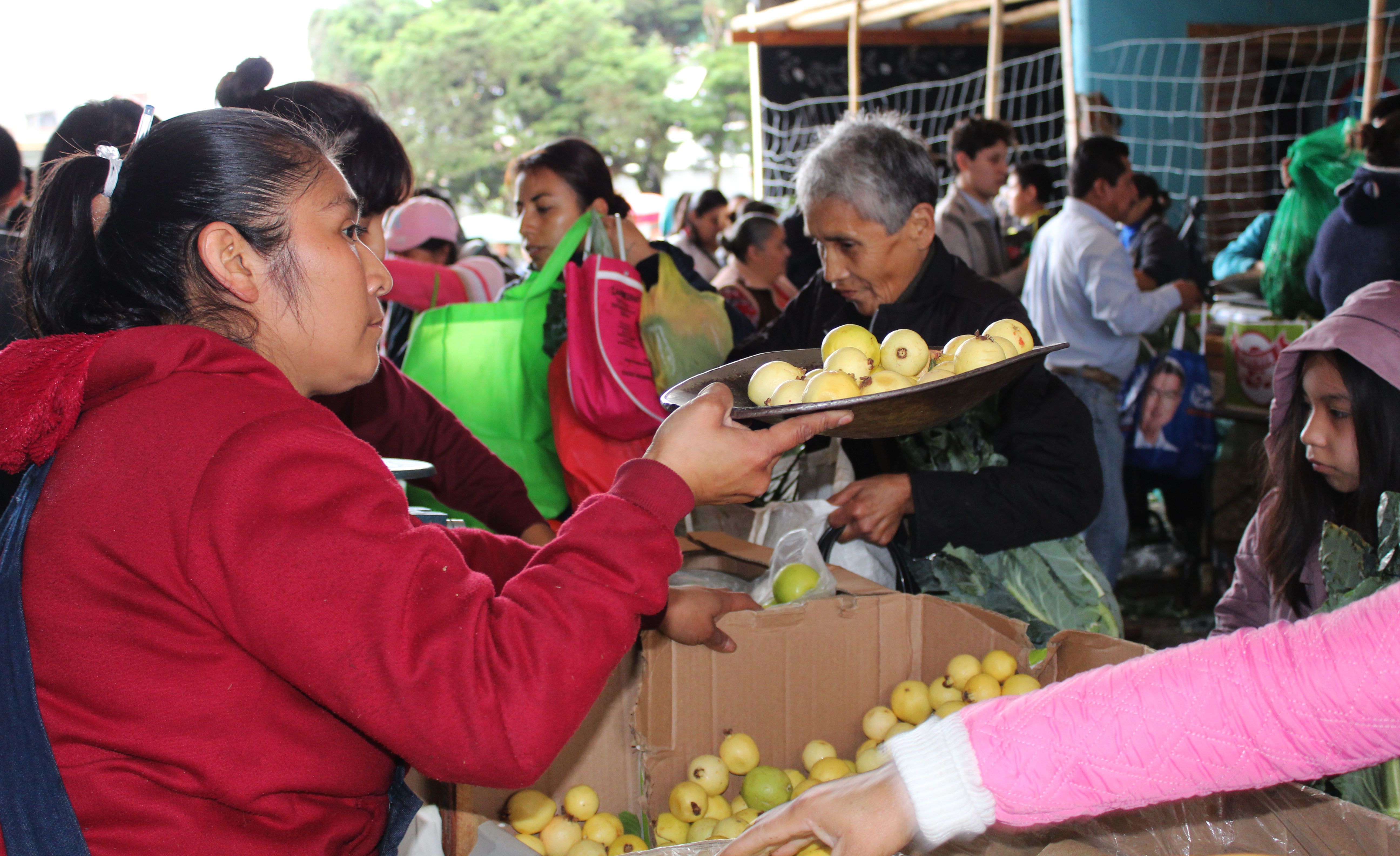 Entrega edil de Xicotepec apoyos de ANEF a familias necesitadas