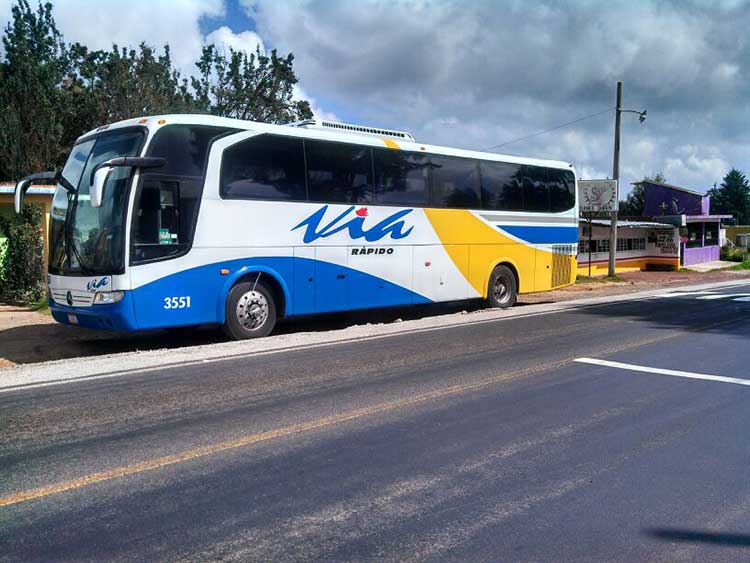 Autobús atropella a joven en la carretera Acuaco-Zacapoaxtla