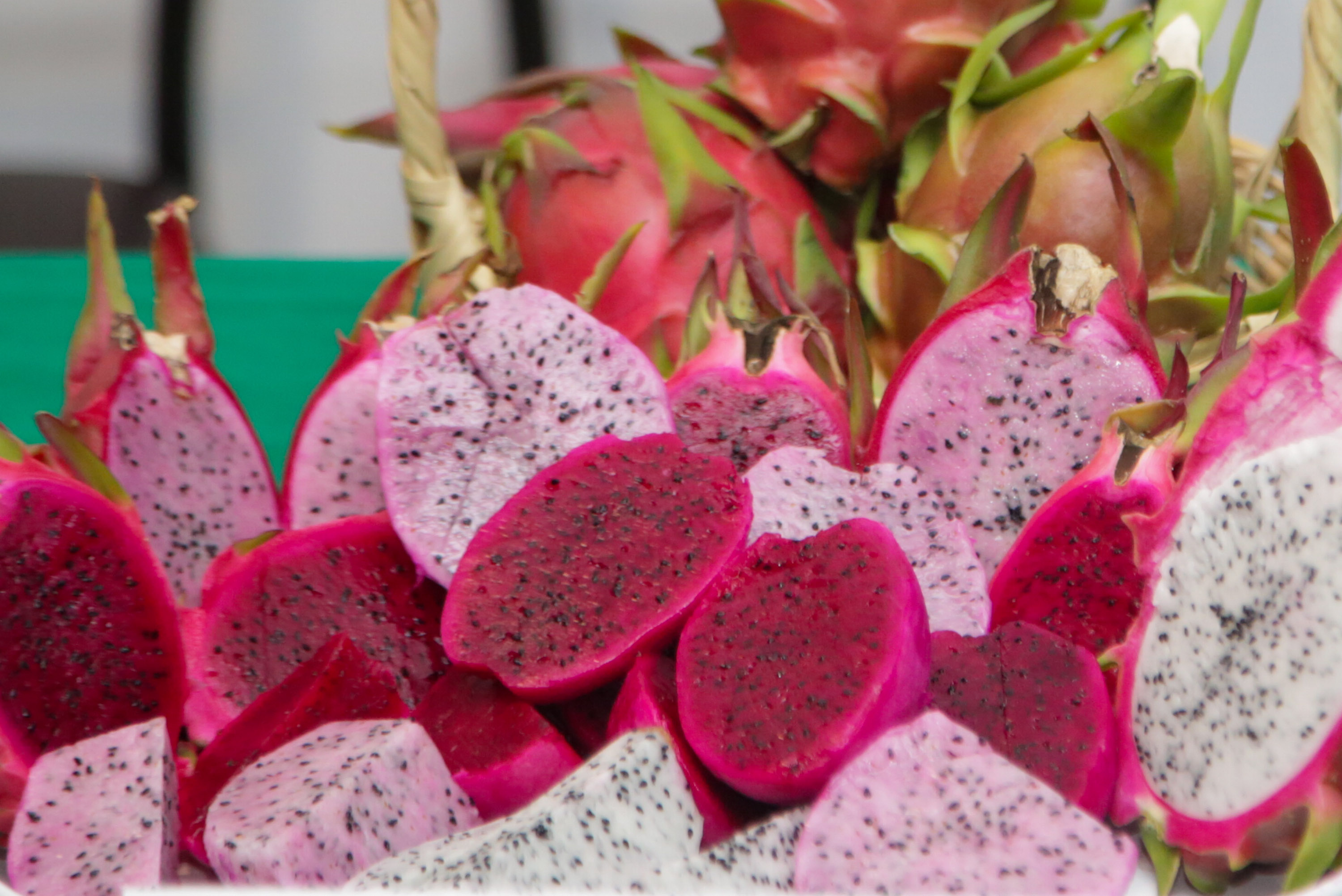 Anuncian la Feria de la Pitahaya en Huitziltepec