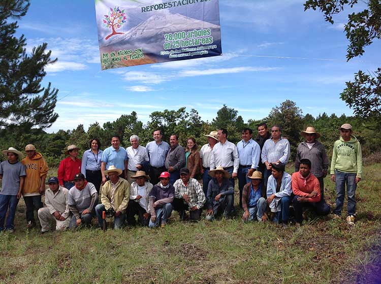 Reforestan zona de San Juan Tianguismanalco con 28 mil árboles