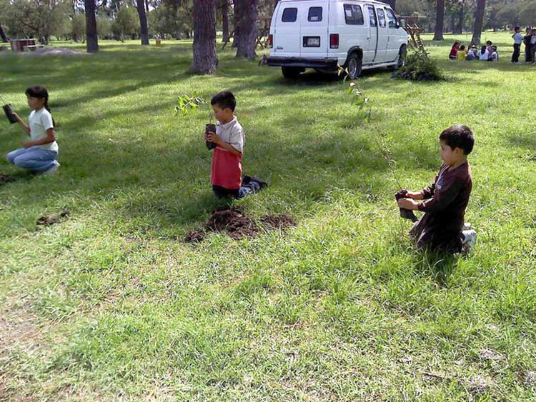 Plantarán 20 mil árboles en Reserva del Bosque de Teteles