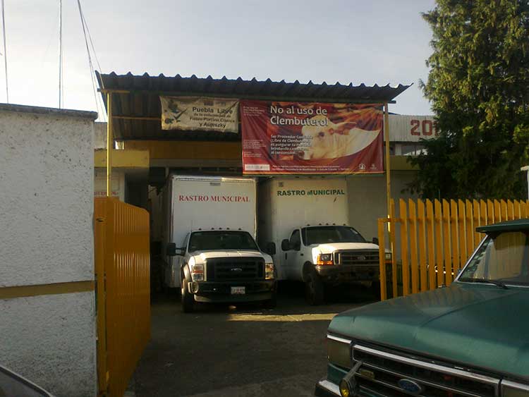 Reanudan matanza de reses en Rastro Municipal de Huauchinango