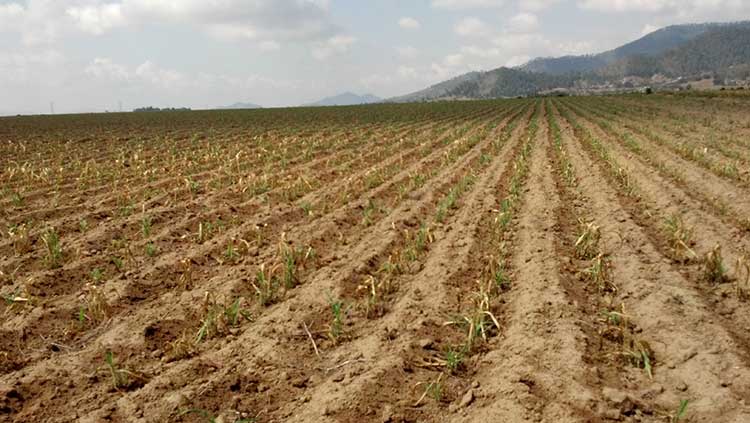 Emprenden en Atlixco campaña contra contaminación por pesticidas