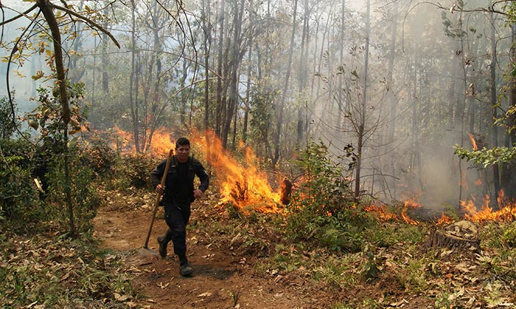 Priorizar combate a incendios pide Sdrsot y Conafor a ediles electos