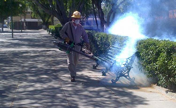Emprenden mega fumigación en Tehuacán para combatir el dengue