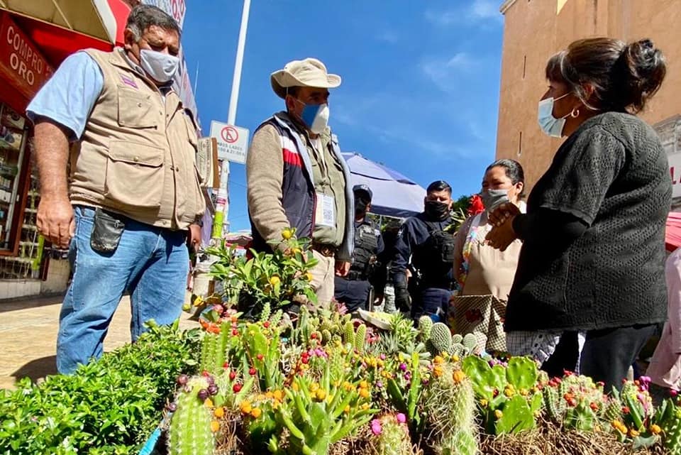 Decomisan especies protegidas que vendían en el centro de Tehuacán