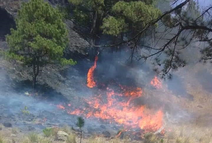 Reportan 13 incendios activos en diferentes municipios