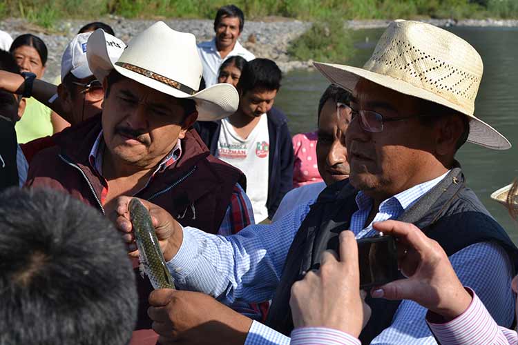 Propone Sagarpa rescate de 7 especies acuícolas de la Sierra Norte