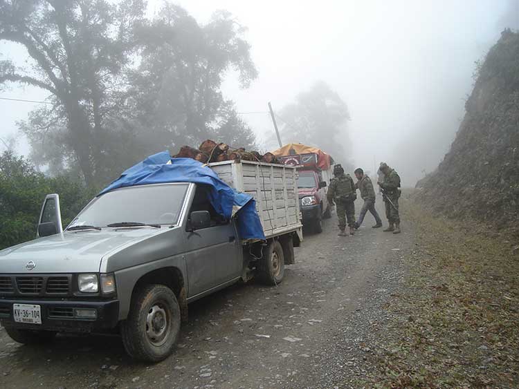 Captura Ejército a dos sujetos en la Sierra Negra por tala clandestina