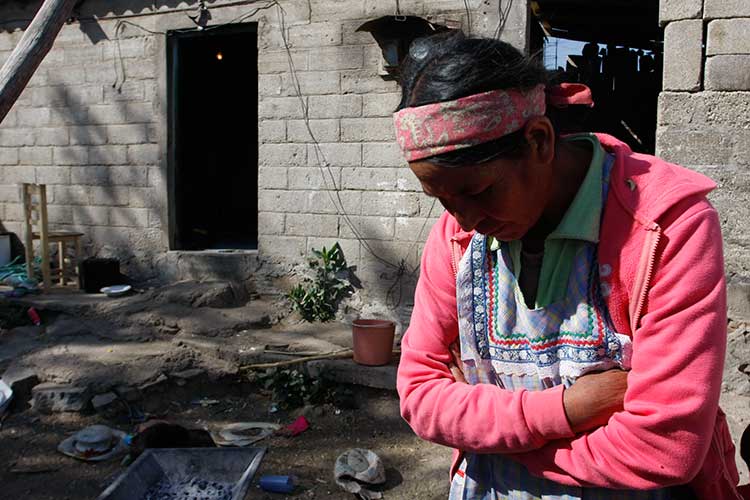 En pobreza 70 % de mujeres en México, señala titular de IPM