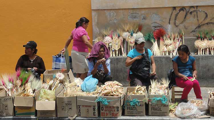 Bajas ventas auguran artesanos de palma este Domingo de Ramos