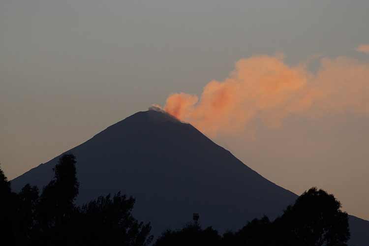 Explosión del Popocatépetl deja 15 hectáreas de bosque siniestradas