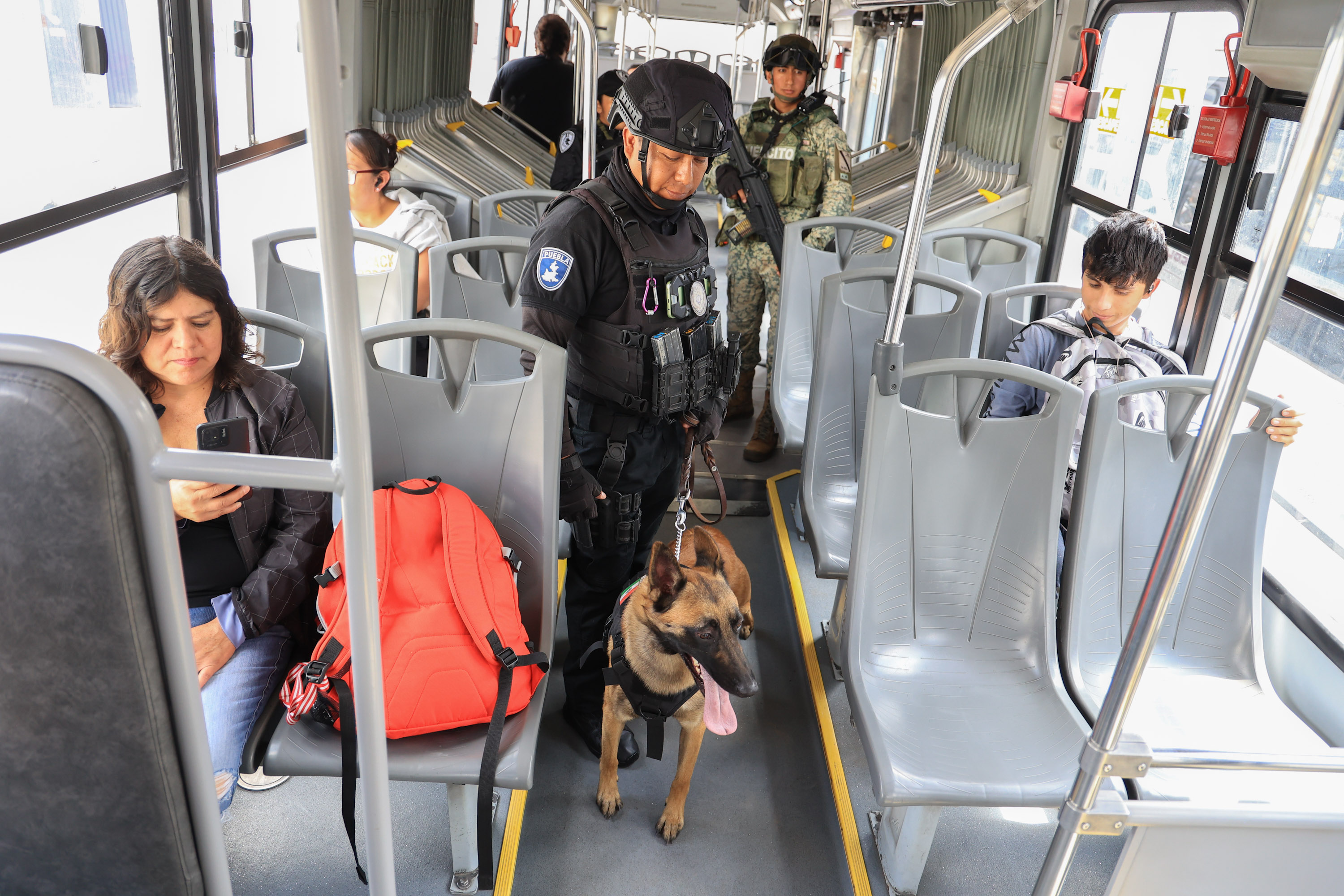 Realizan Operativo Seguro con el comando canófilo K9 en la Línea 2 de RUTA 