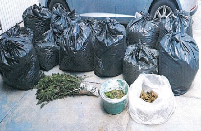 Abandonan traficantes 131 kilos de marihuana en Jalisco