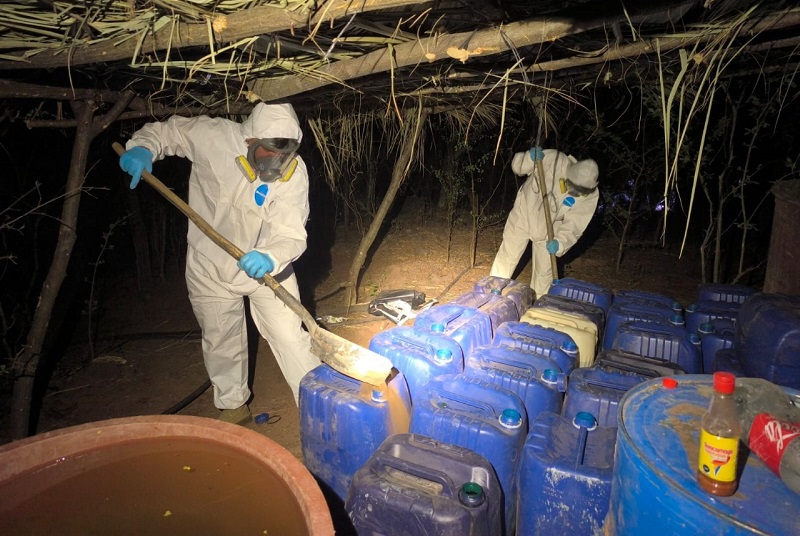 Desmantelan 207 laboratorios para elaborar drogas en Sinaloa, Durango y Sonora