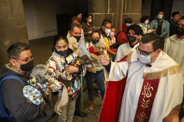 Mascotas reciben la bendición de San Antonio Abad