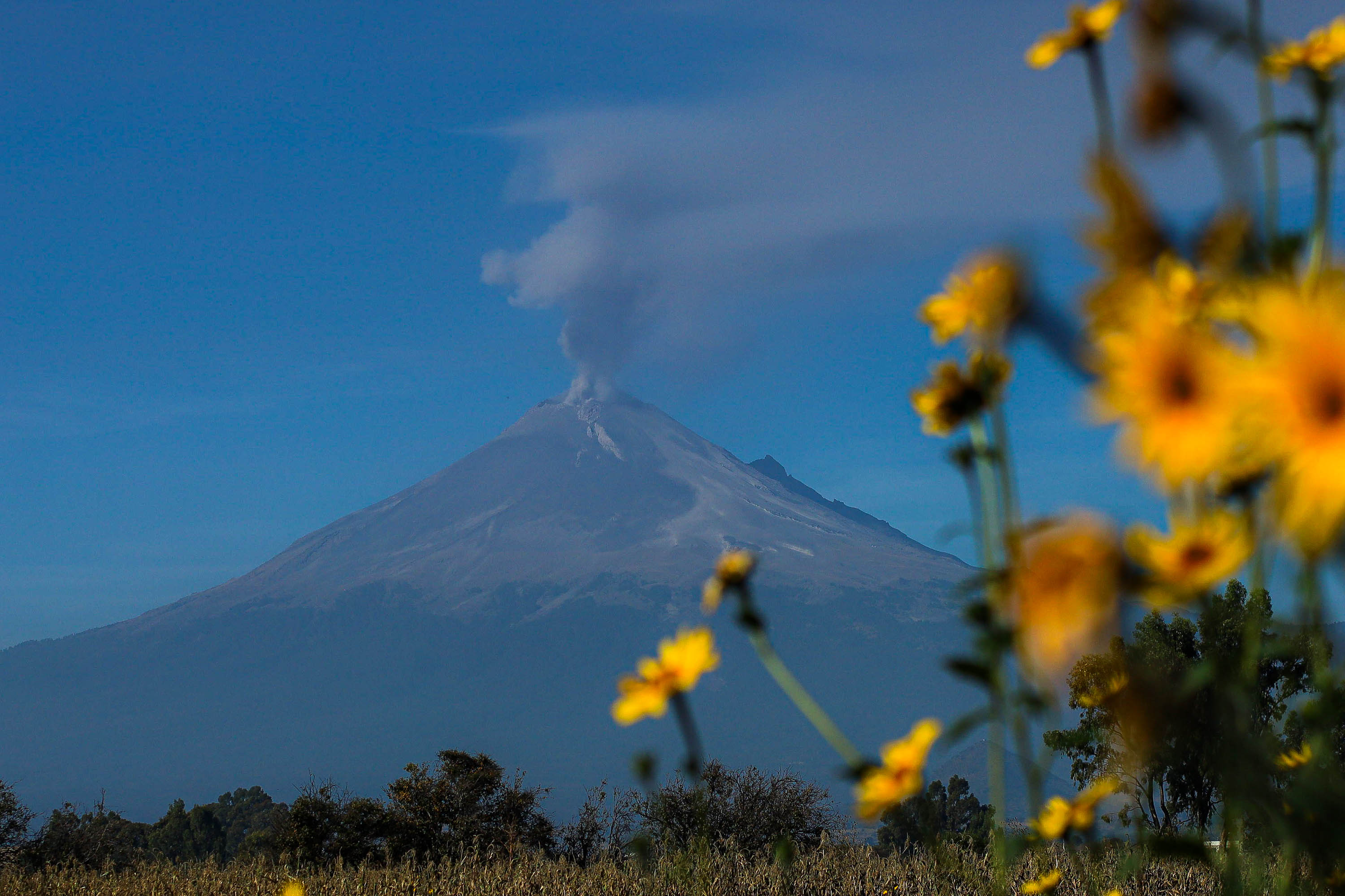 VIDEO El Popocatépetl amanece este lunes con actividad constante