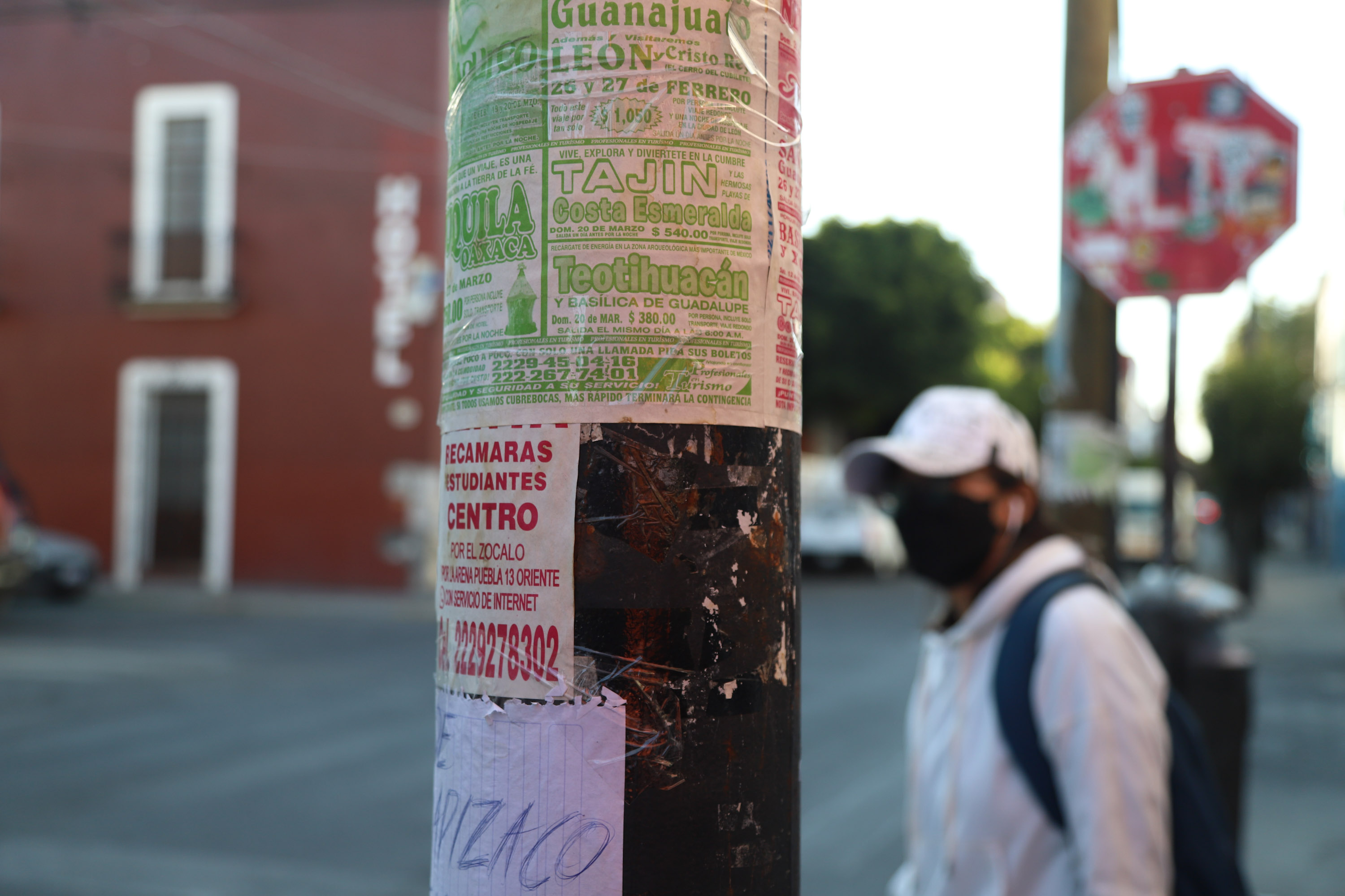Postes en la ciudad de Puebla se inundan con publicidad