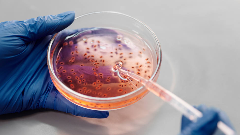 Hallan en China nuevo virus que ha infectado a 35 personas
