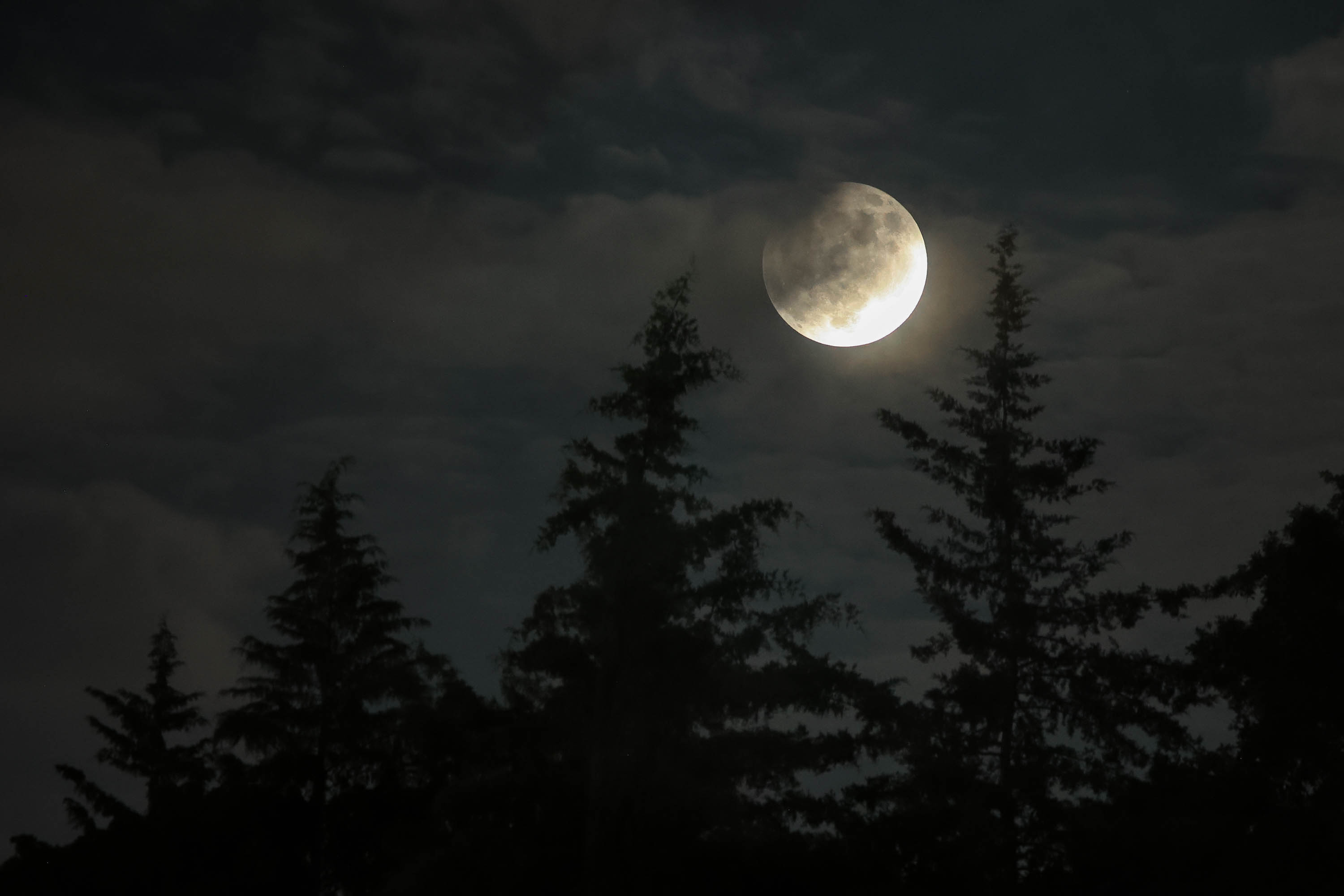 VIDEO Noche mágica, noche de Luna de Sangre