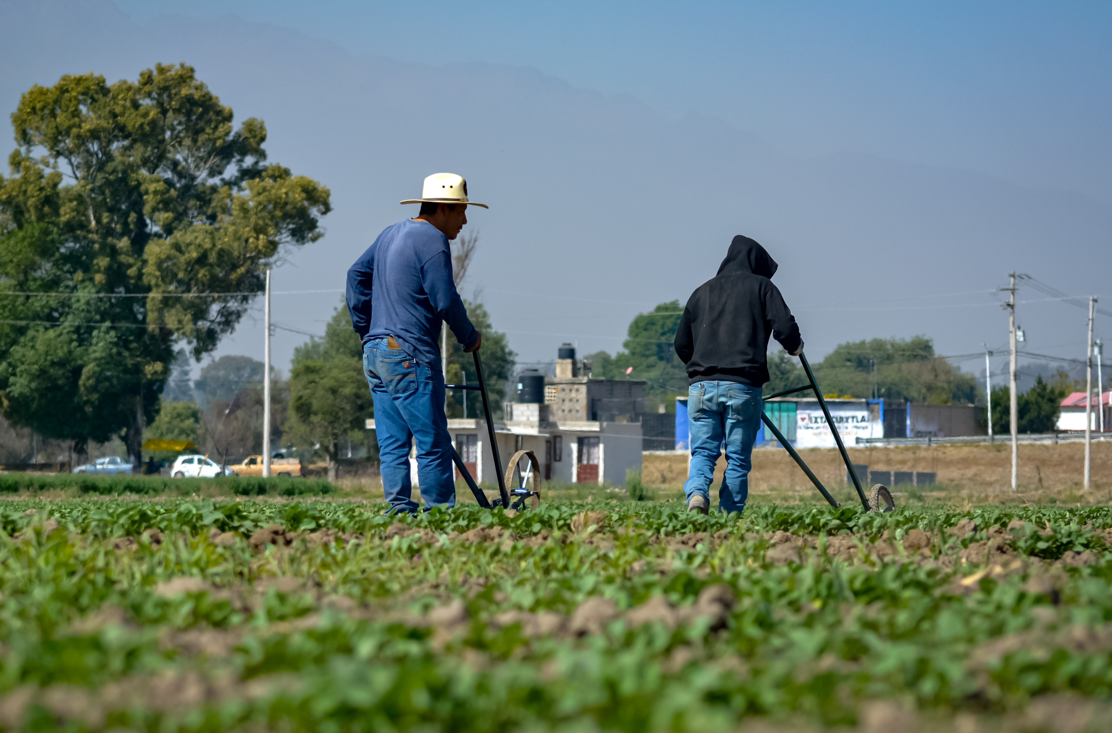 Puebla es la segunda entidad con más sentencias en justicia agraria 