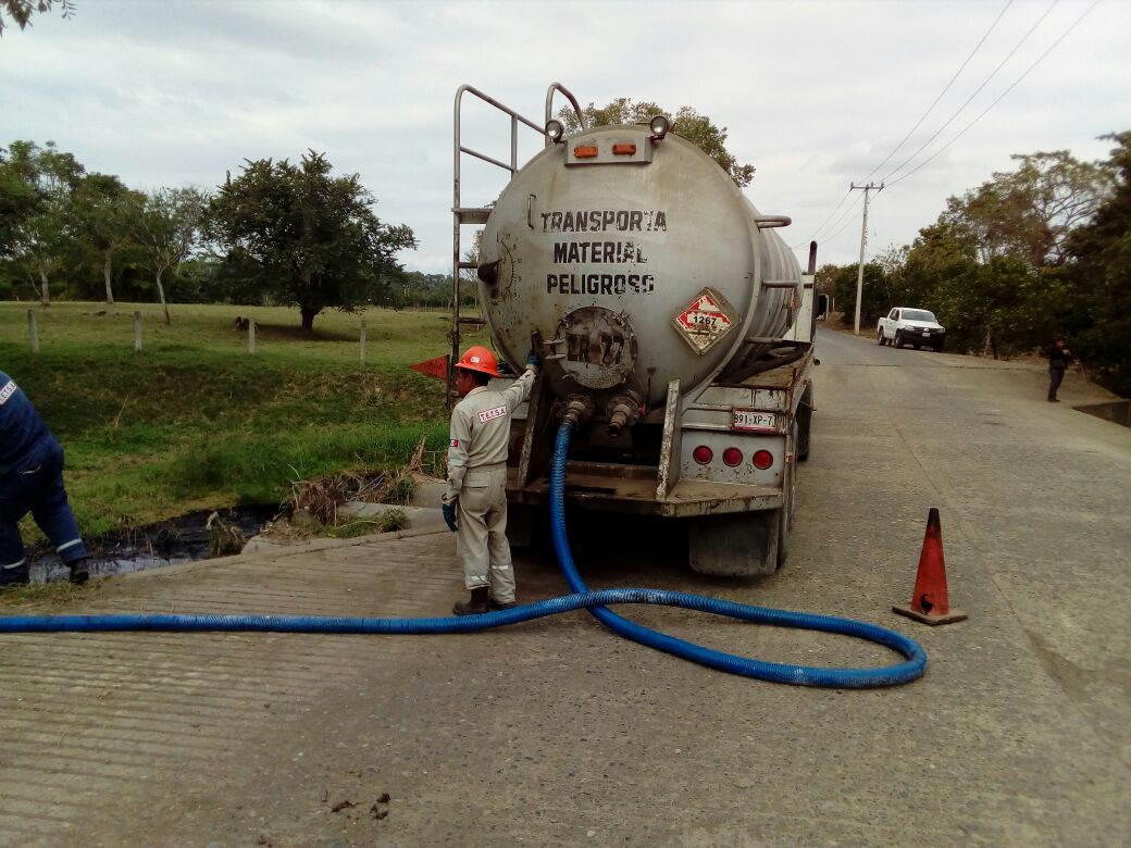 Acusan a Pemex de tirar árboles para limpiar crudo en Z. Mena