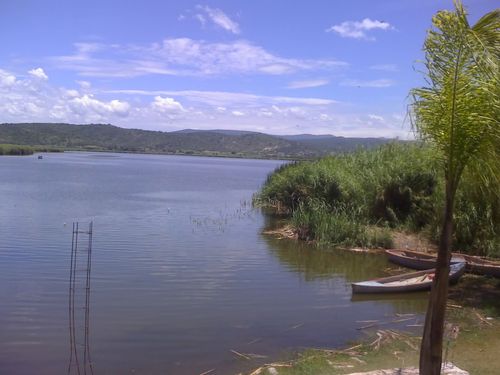 Aparece importante cantidad de peces muertos en la laguna de  San Juan Epatlan